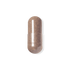 Elderberry