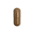 Fenugreek