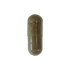 Forslean
