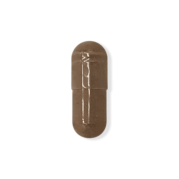 Rhodiola